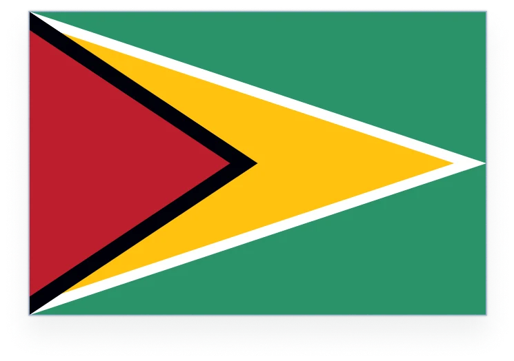 Guyana flag