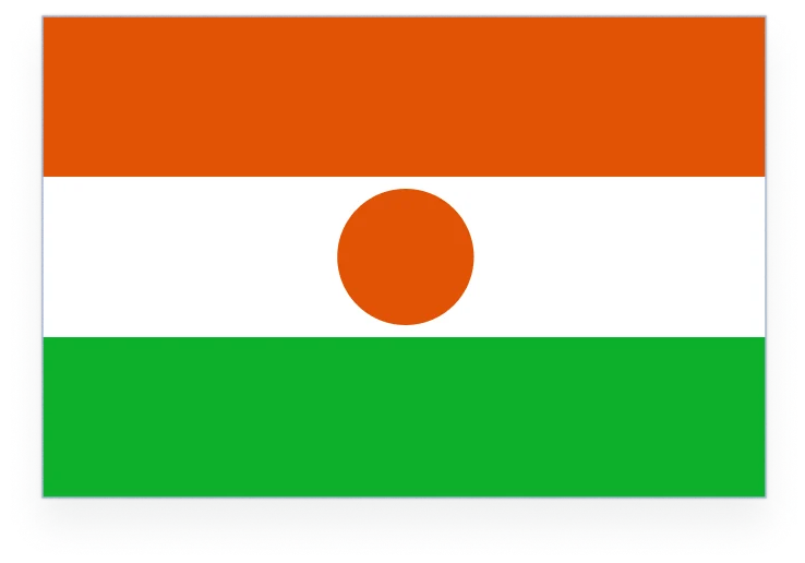 Niger flag
